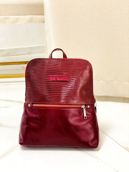 Imagen de Mochila Quidditch Bordo Lagarto