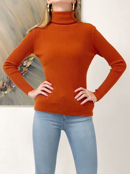 Imagen de Polera Lisa Terracota