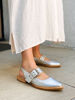 Imagen de Sandalia Chandler Plata